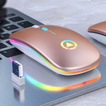 Mouse USB Rechargeable LED RGB